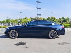BMW 5 Series 530Li Premier M Sport Package - ფოტო 8