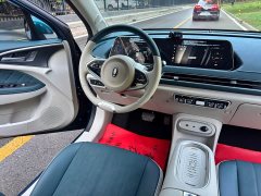 ORA Good Cat 401km Standard Range Comfort Edition LFP Battery - ფოტო 11