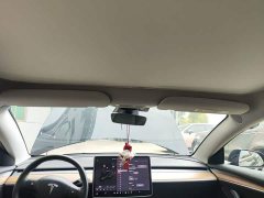 Tesla Model 3 2022 Rear-Wheel Drive - ფოტო 14