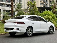 BYD Qin Plus DM-i 55KM Flagship - ფოტო 9