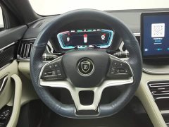 BYD Song Plus New Energy EV Premium - ფოტო 11