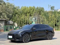 Zeekr 001 WE Edition 100kWh Rear-Wheel Drive - ფოტო 1