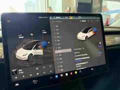 Tesla Model 3 Rear-Wheel Drive - ფოტო 6