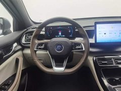 BYD Qin PLUS Champion Edition DM-i 55KM Leading - ფოტო 11