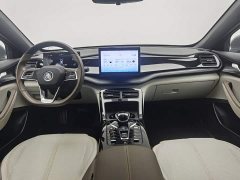 BYD Qin PLUS Champion Edition DM-i 55KM Leading - ფოტო 5