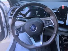 BYD Qin PLUS Glory Edition DM-i 55KM Leading - ფოტო 15