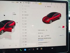 Tesla Model 3 Rear-Wheel Drive - ფოტო 11