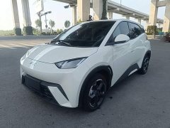 BYD Seagull Glory Edition 305km Freedom Version - ფოტო 1