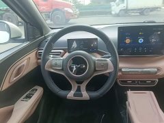 BYD Seagull Glory Edition 305km Freedom Version - ფოტო 10