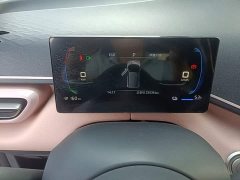 BYD Seagull Glory Edition 305km Freedom Version - ფოტო 11