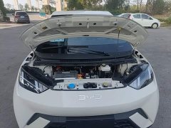 BYD Seagull Glory Edition 305km Freedom Version - ფოტო 19