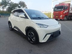 BYD Seagull Glory Edition 305km Freedom Version - ფოტო 3