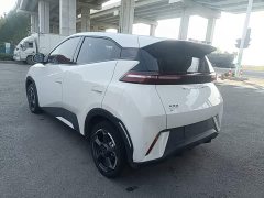 BYD Seagull Glory Edition 305km Freedom Version - ფოტო 4