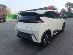 BYD Seagull Glory Edition 305km Freedom Version - ფოტო 6
