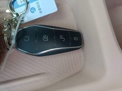 BYD Seagull Glory Edition 305km Freedom Version - ფოტო 8