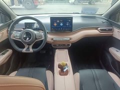 BYD Seagull Glory Edition 305km Freedom Version - ფოტო 9