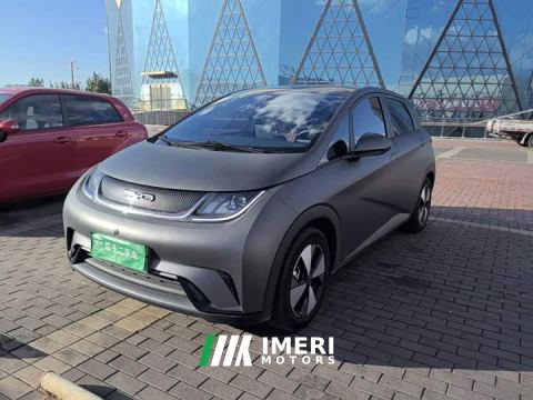 2023 BYD Dolphin 420km Fashion Edition