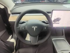 Tesla Model 3 Standard Range RWD Upgrade - ფოტო 10