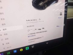 Tesla Model 3 Standard Range RWD Upgrade - ფოტო 11