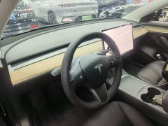 Tesla Model 3 Standard Range RWD Upgrade - ფოტო 9