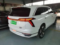 Great Wall WEY Blue Mountain 2023 Four-Wheel Drive Extended Range Version - ფოტო 6