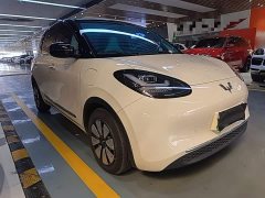 Wuling Binguo 333km Joy Edition - ფოტო 3