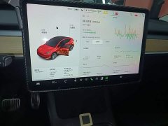 Tesla Model Y 2021 Standard Range RWD - ფოტო 12