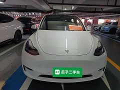 Tesla Model Y 2021 Standard Range RWD - ფოტო 2