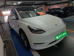 Tesla Model Y 2021 Standard Range RWD - ფოტო 3