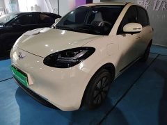 Wuling Binguo 333km Joy Edition - ფოტო 1