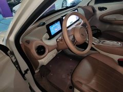 Wuling Binguo 333km Joy Edition - ფოტო 15