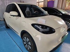 Wuling Binguo 333km Joy Edition - ფოტო 3