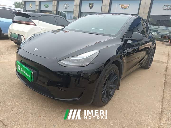 Tesla Model Y Rear-Wheel Drive