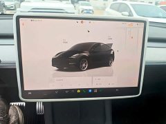 Tesla Model Y 2022 Rear-Wheel Drive - ფოტო 12