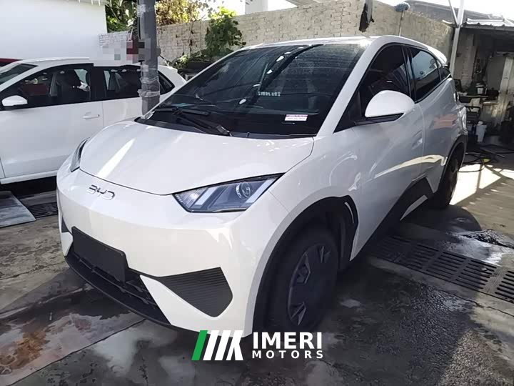 BYD Seagull Smart Drive 305km Vitality Edition - ავტომობილი ჩინეთიდან