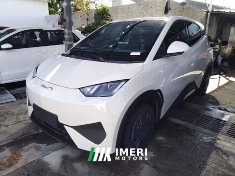 2025 BYD Seagull Smart Drive 305km Vitality Edition