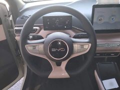 BYD Seagull Smart Drive 305km Vitality Edition - ფოტო 10