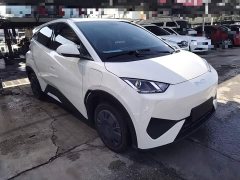 BYD Seagull Smart Drive 305km Vitality Edition - ფოტო 3