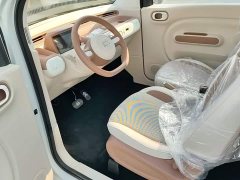 FAW Besturn Xiaoma 222km Colorful Edition - ფოტო 15