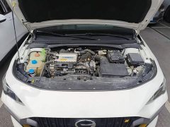 Trumpchi Leopard 270T DCT J15 - ფოტო 19