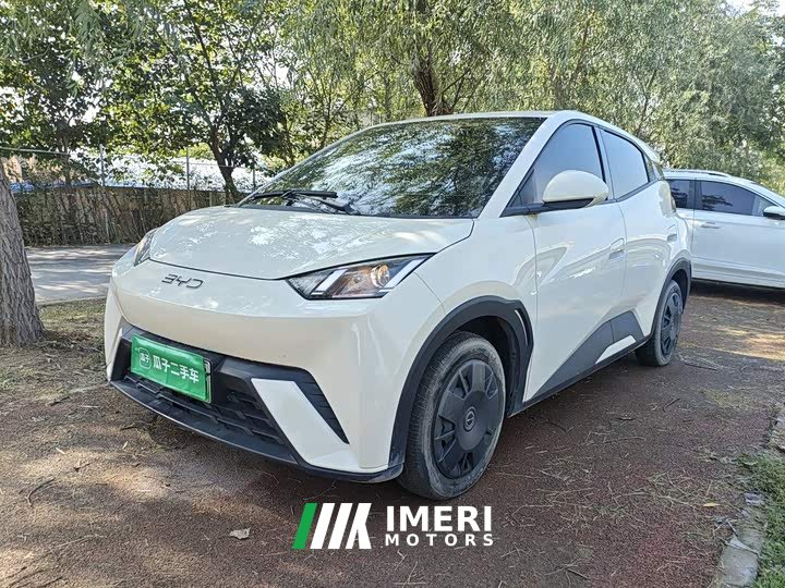 BYD Seagull Glory Edition 305km Vitality Version - ავტომობილი ჩინეთიდან