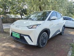 BYD Seagull Glory Edition 305km Vitality Version - ფოტო 1
