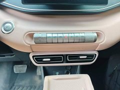 BYD Seagull Glory Edition 305km Vitality Version - ფოტო 13