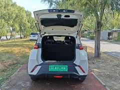 BYD Seagull Glory Edition 305km Vitality Version - ფოტო 18