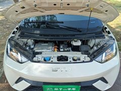 BYD Seagull Glory Edition 305km Vitality Version - ფოტო 19