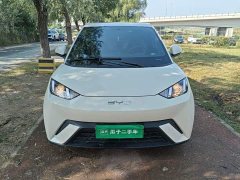 BYD Seagull Glory Edition 305km Vitality Version - ფოტო 2