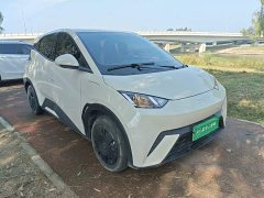 BYD Seagull Glory Edition 305km Vitality Version - ფოტო 3
