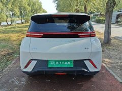 BYD Seagull Glory Edition 305km Vitality Version - ფოტო 5