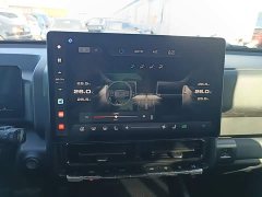 Haval H9 2024 2.0T Gasoline AWD Extreme Edition - ფოტო 12