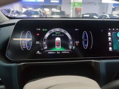 ORA Good Cat 400km Standard Range Deluxe Edition LFP Battery - ფოტო 11